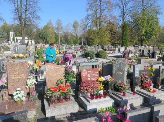 140 2. 11. Obrazem: Památka zesnulých, hřbitov na Šumbarku 4. 11. 91. schůze Rady města Havířova Výběr z projednávaných bodů: Nastoupení náhradníka.