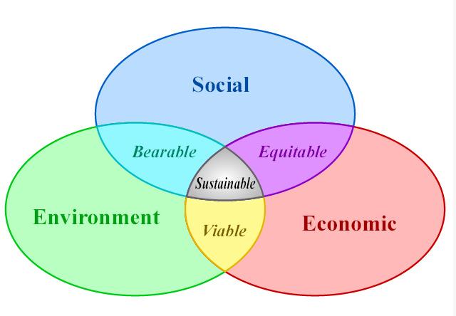 Sustainable development does not focus solely on environmental issues.