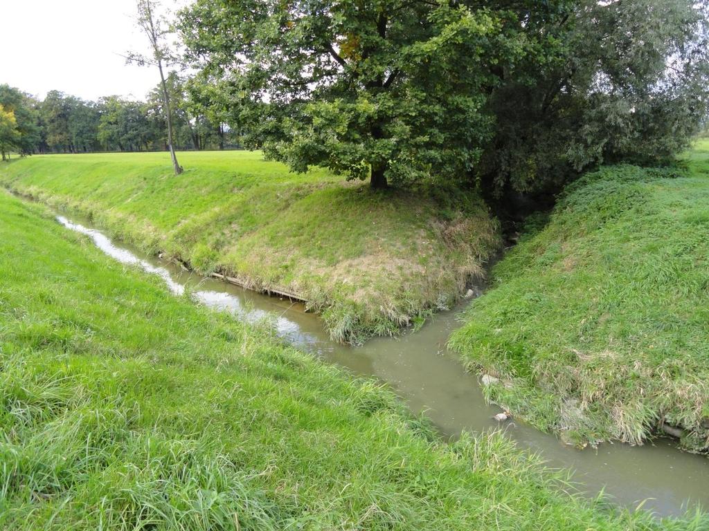Přibližně v ř.km 0,510 se nachází levostranný přítok z nedalekého rybníka (Obr. 6.16.).