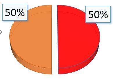 Rozložení platby za elektřinu Idealizovaný stav 50% na 50% Složka ceny