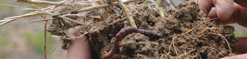 OBJEVTE SPOLEČNĚ SE SOUFFLET AGRO KONCEPT TRVALE UDRŽITELNÉHO ZEMĚDĚLSTVÍ: SOILTEQ ZLEPŠETE ÚRODNOST VAŠICH PUD
