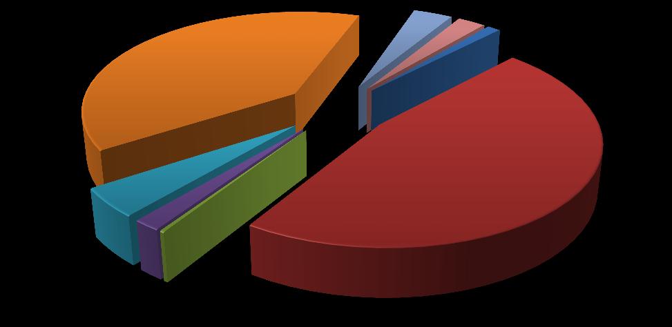 Příjmy od klientů; 39,5% Graf č. 11: Podíl financování sociálních služeb dle zdrojů, 2017 Nestátní (nadace, fondy zdrav. poj.