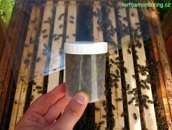 Tento způsob má výhodu, že se omezí styk se včelami a jde