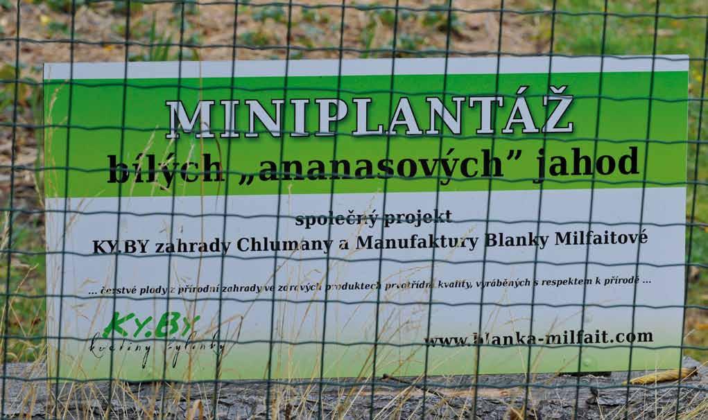 občanskou vybavenost z oblasti tělovýchovy a