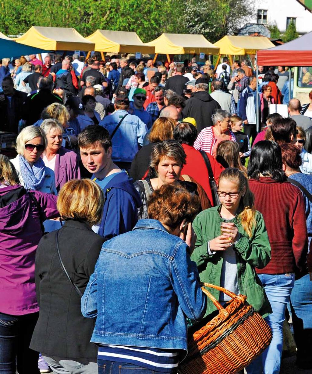(6x 220 V, 2x 380 V) pro provoz venkovského trhu Zařazení TOP turistických cílů v