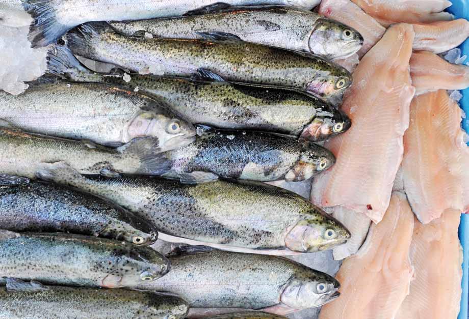 61 Zemědělská společnost Chlumany (ZSCH, Agrokomplex Šumava) největší zaměstnavatel v obci, počet zaměstnanců 10 30