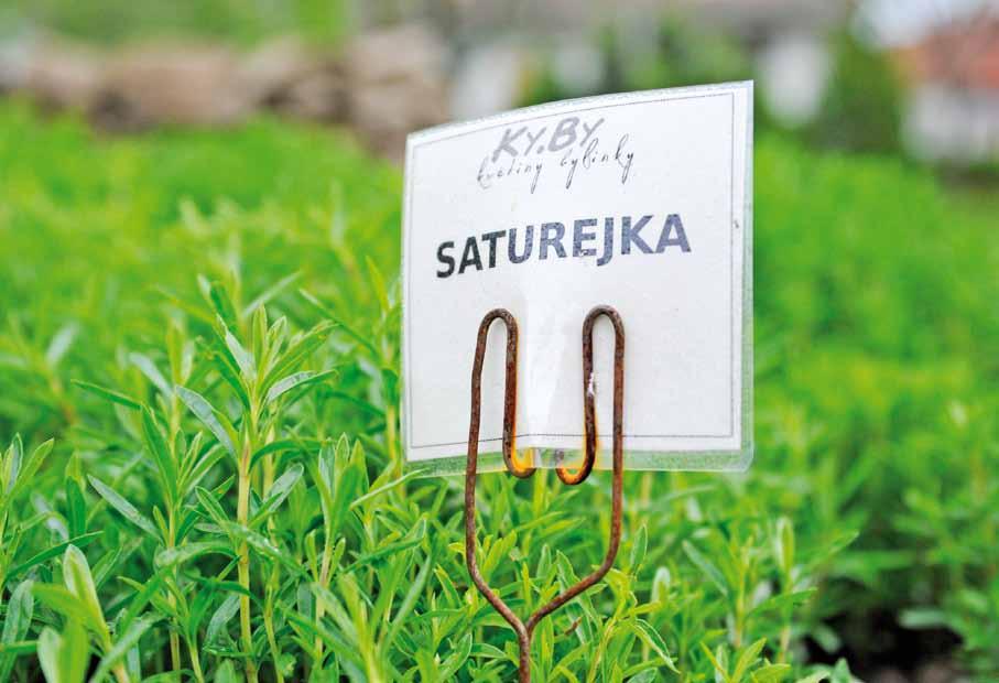 Podnikatelé vyhledávají Chlumany SPOLUPRÁCE SE ZEMĚDĚLSKÝMI SUBJEKTY II LIVA PŘEDSLAVICE BLANKA MILFAITOVÁ VESA
