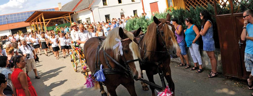 PÍSEK Konzultace bylinkové sekce přírodní zahrady KY.BY a dodávky kontejnerových rostlin do KY.
