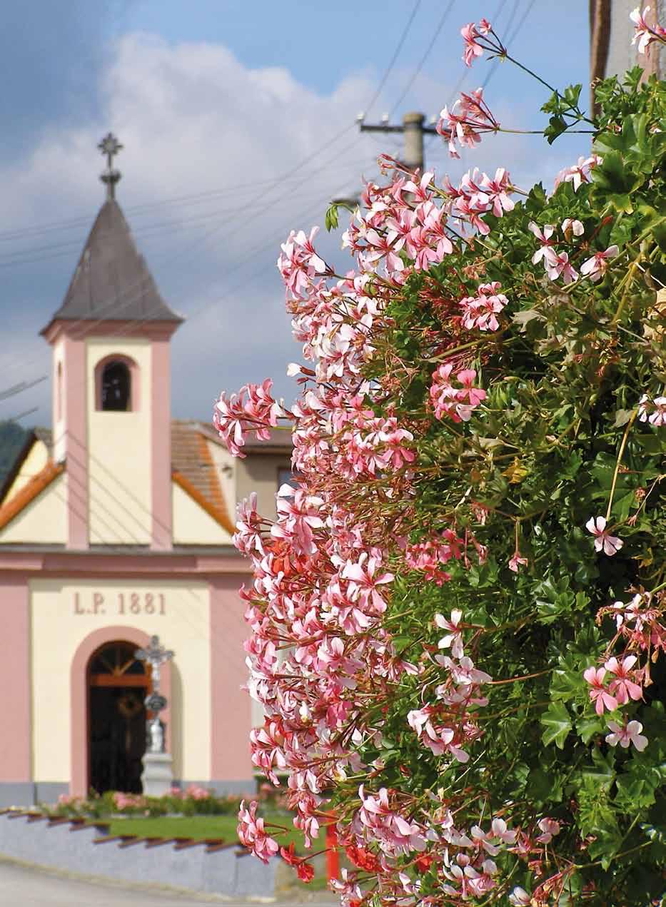 budoucímu rozvoji obce územní plán Zahájena