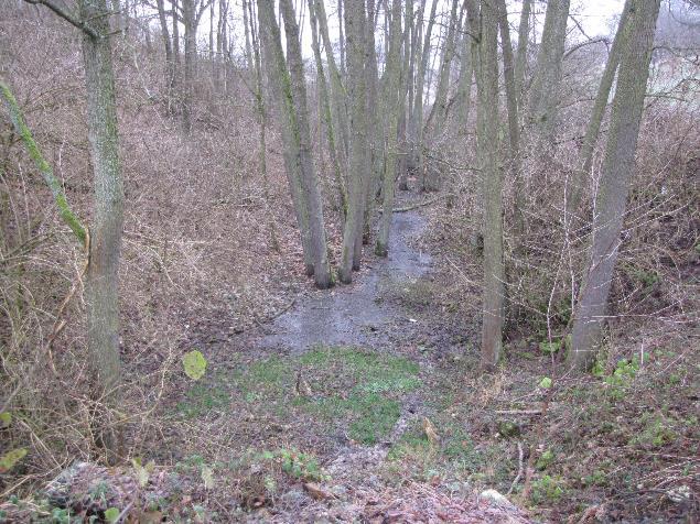 Voda je čistá bez zápachu, dno kamenité, šířka ve dně 3 metry, drobný sediment.