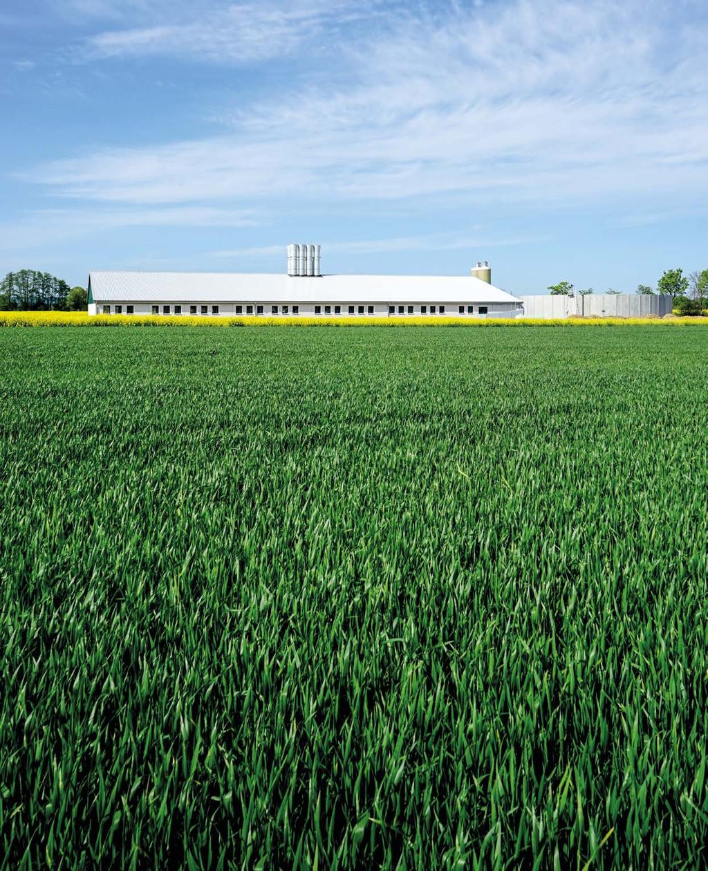fotolia/countrypixel COOL AIR IN CLEAN AIR OUT Čím dál přísnější kritéria na ochranu životního prostředí a rostoucí konkurence v zemědělském sektoru vyžadují inovativní a ekonomicky efektivní řešení.