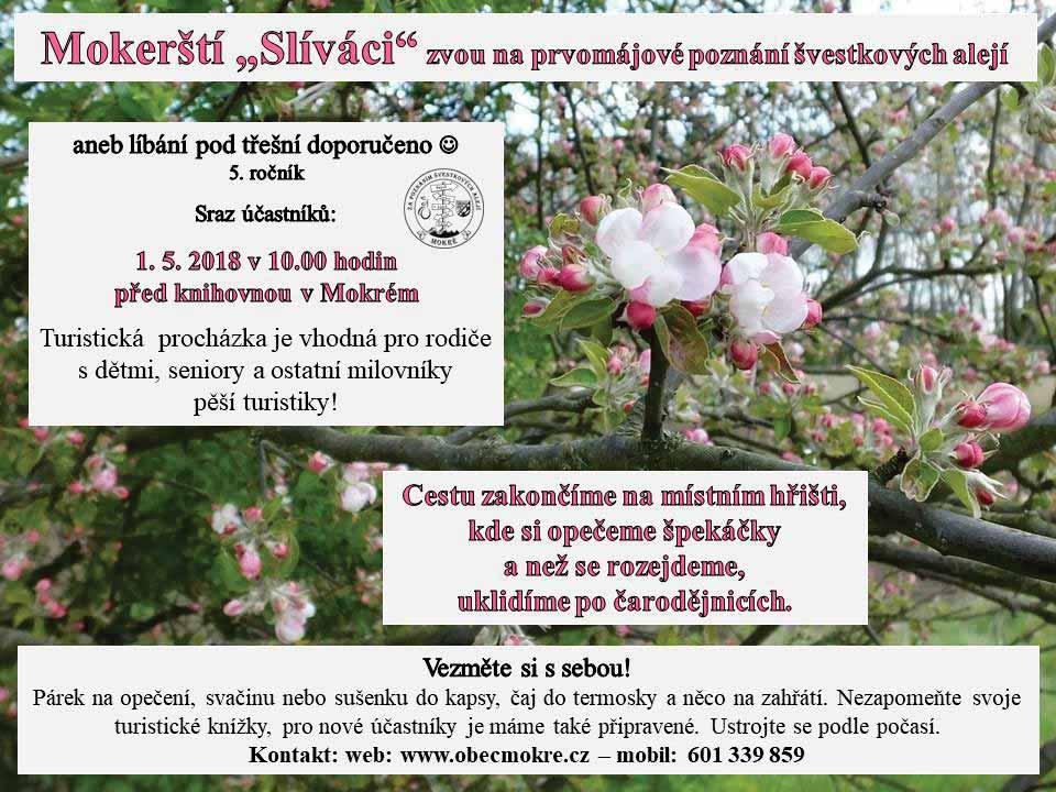 Švestkové aleje aneb Novoroční poznání švestkových alejí Slíváci zahájili zimní poznání švestkových alejí hned 1.