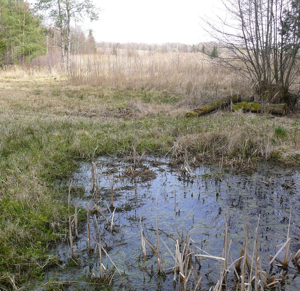 Problémem řady míst, včetně přírodovědně významných, je to, že zde mírný nepořádek není. Panuje zde pořádek a přísný řád, veškerá hmota z prořezávek a kosení se z lokality odváží nebo se pálí.