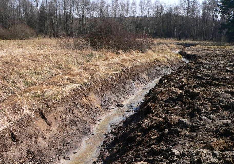 Odvodnění pozemku hlubokým příkopem je pro mokřadní louku téměř likvidační.