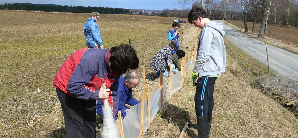 Záchranné transfery obojživelníků v době jejich tahu přes komunikace jsou důležitým opatřením. Je ho však vždy nutné považovat za dočasné a náhradní řešení.