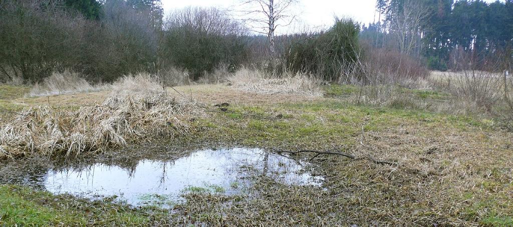 V žádném případě sem nepatří žádné odpady, např. z domácností a ze zahrádek. 5.