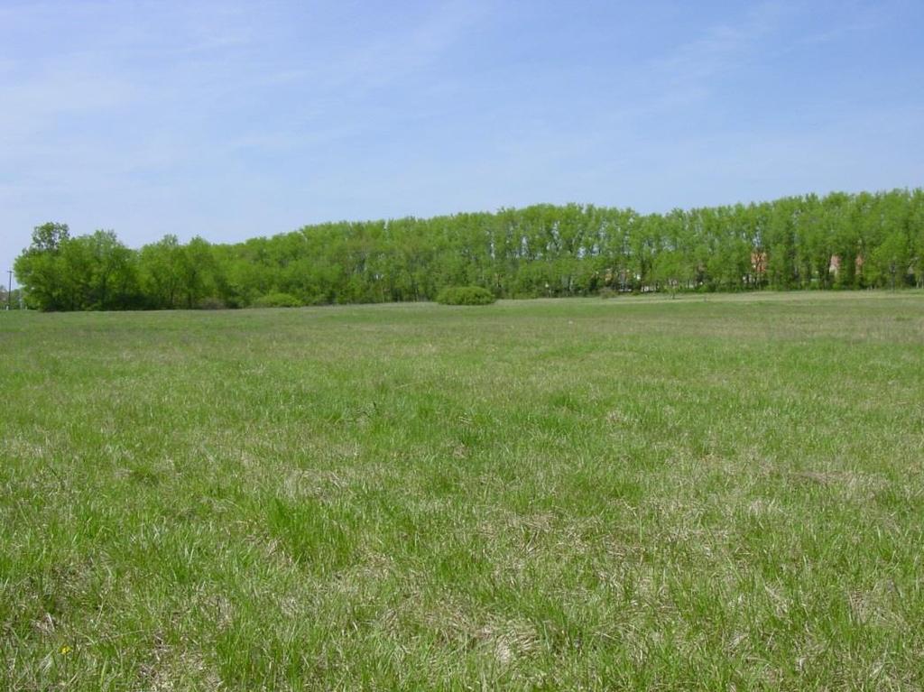 2003