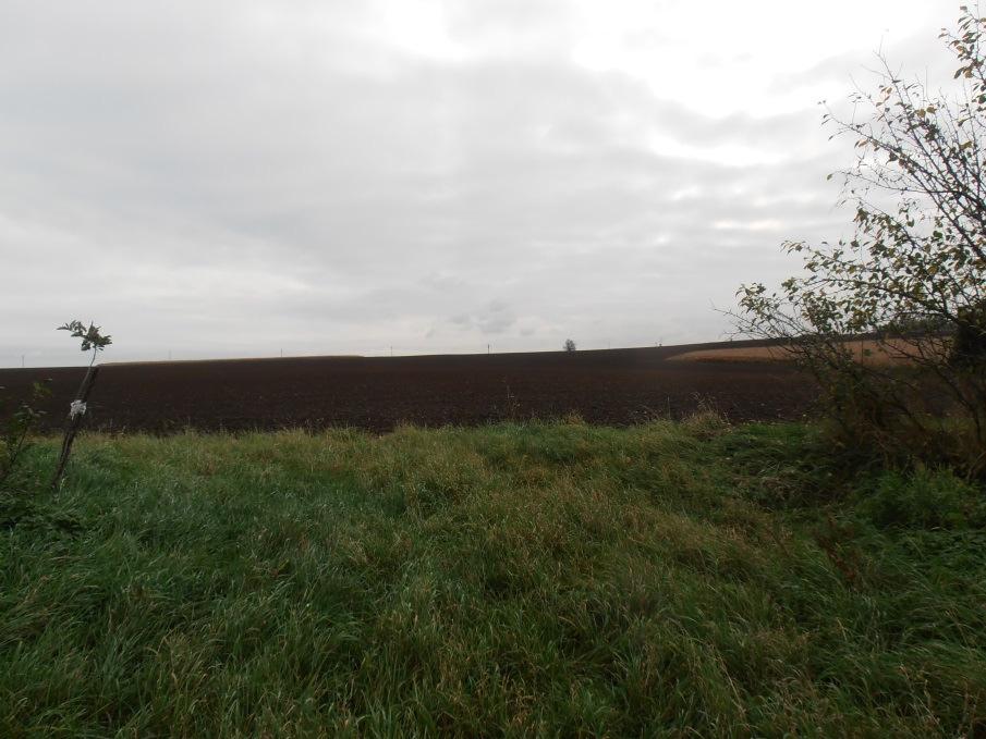 Obr. 10: Vesnice Dobré Pole, kterým prochází Obr. 11: Pole U sv. Prokopa u Klášterní Čertova brázda (foto M. Šantrůčková, 2018) Skalice (foto M.