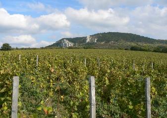 jeho okolí. (Aubert de Villaine, Domaine de la Romane Conti) Co je terroir ve vinařství?