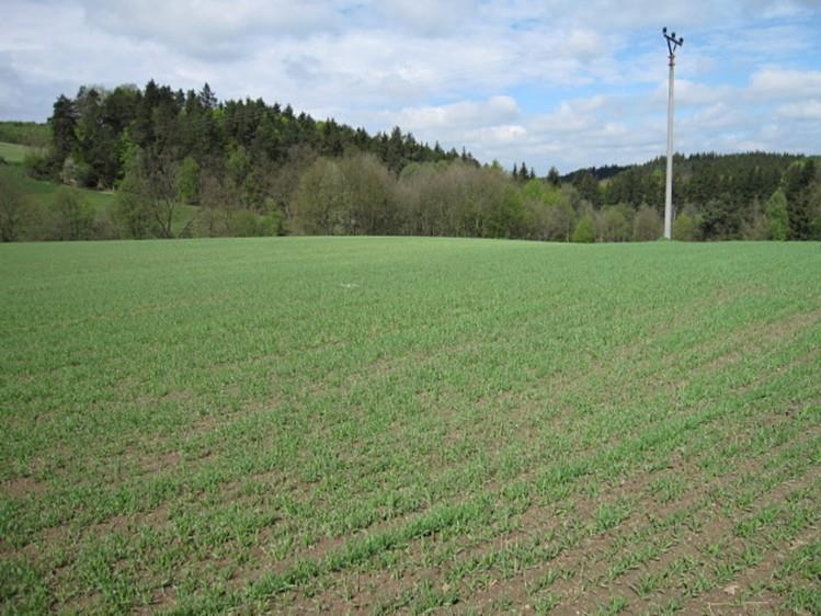 Srovnávané nemovitosti zemědělské pozemky 1. Identifikace Záznam o prodeji srovnávané nemovitosti č. 1 Prodej, Pozemek, 3494 m 2, Náves, Týnec Celková cena: 66.