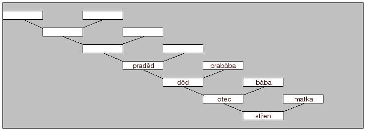 3 TYPY RODOKMENŮ 3.1 Rodokmen základní přímá otcovská linie Tento rodokmen obsahuje předky počáteční osoby pouze po otcovské linii. Popisuje tedy pouze mužské předky otce, děda, praděda atd.