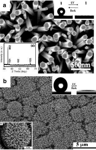 Obrázek 2 SEM snímky supehydrofóních povrchů a) zarovnané nanotyče ZnO připravené dvoustupňovým rozpouštědlem. Vložky ukazují vzor XRD a hydrofobní přechod nanotyčového filmu.