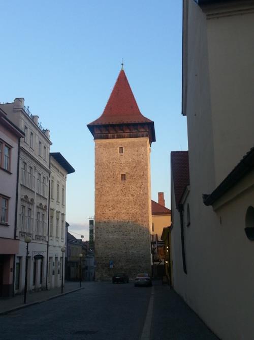 Vlkova věž s vyhlídkovým ochozem dále nabízí degustace všech VOC Znojemských vín i jejich prodej.