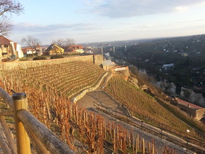 V roce 2011 došlo k revitalizaci Karolininých sadů, kdy se vykácely náletové plevelné dřeviny, opravily cesty, vystavěla nová zábradlí, odpočívadla, vysázely se stovky levandulí, které tu prý kdysi