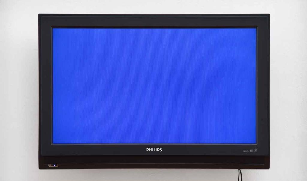 2008, Brno, Galerie Brno, Jak se zachovat, když tě pozvou SAG MIR, WO DIE BLUMEN SIND (ŘEKNI KDE TY KYTKY JSOU), 2008, DVD, 15 min., smyčka Video (slide show) obsahuje 22 446 různě modrých obrázků.