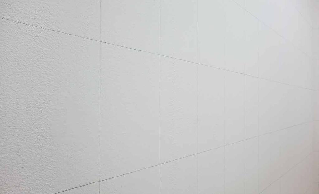 2013, Praha, Galerie 35m2, AAAA A PROPOS, JEŠTĚ NĚCO, 2013, nástěnná kresba, obyčejná tužka Všechny stěny galerie byly rozděleny vodorovnými a svislými čarami na identická obdélníková pole formátu