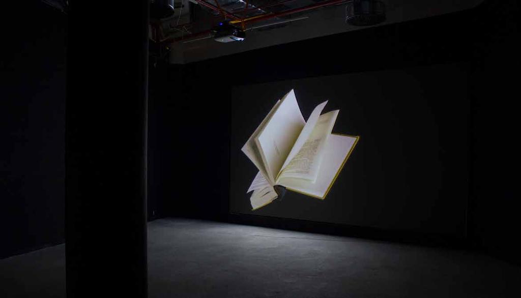 2013, Liberec, Galerie Die Aktualität des Schönen, Prací samočinných strojů k volnému času.
