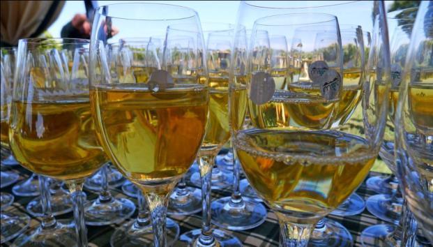 Podujatia na MVC Jednou z hlavných činností, ktorou združenie prispieva k zvyšovaniu atraktivity regiónuje organizovanie podujatí, ktoré sú spojené najmä s vinárskymi, vinohradníckymi a kultúrnymi