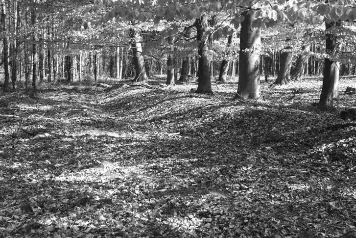 66 67 ského okresu. Toto území je vedle své zajímavé geologické stavby známo též výraznou koncentrací archeologických nemovitých památek, nacházejících se převážně v zalesněném prostředí.