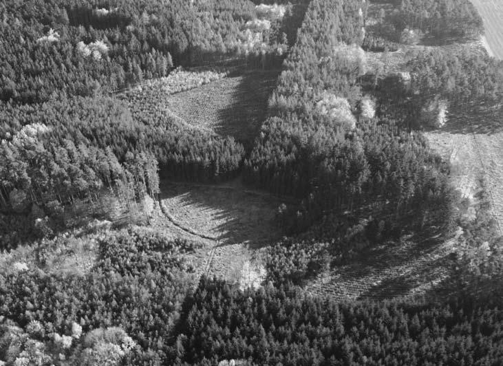 Nejmarkantnější porostové příznaky jsou zde patrné na podzim, kdy barevná odlišnost listnatých stromů činí objekt velmi nápadným (obr. 4). Severní kruh je z výšky viditelný hůře.
