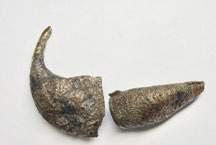 3 In einer vom Pflug beschädigten Urne bei Niedergoseln, Nordsachsen, lagen neben einem Eisenmesser und Glasperlen auch bronzene Ringteile eines Kopfschmuckes nach byzantinischem Muster.