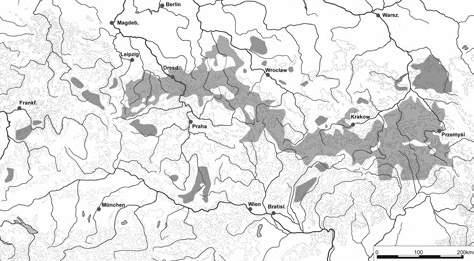 Vereinfachte Parzellierung nach dem neuzeitlichen Katasterplan. Röllingshain (Sachsen). Typická lesní lánová ves v Krušných horách. Zjednodušená parcelace podle novověkého katastrálního plánu.