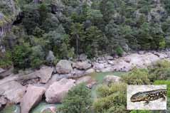 M e x i k o 1 0. 9. 1. 1 0. 2 0 1 7 M e x i c o 1 0 t h S e p t e m b e r 1 s t O c t o b e r 2 0 1 7 Řeka Urique v NP Barranca del Cobre.