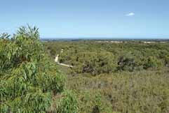 Součástí botanické zahrady Australian Garden v Cranbourne je i 363 hektarů velká rezervace chránící ohrožené bandikuty krátkonosé (Isoodon obesulus). 28