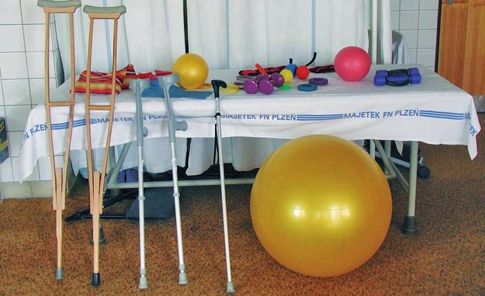 Pohybová terapie Možnosti pohybové terapie pacientů s diagnózou diabetes mellitus Daria Richterová, Veronika Vlnasová Rehabilitační oddělení, Diabetologické centrum, I.