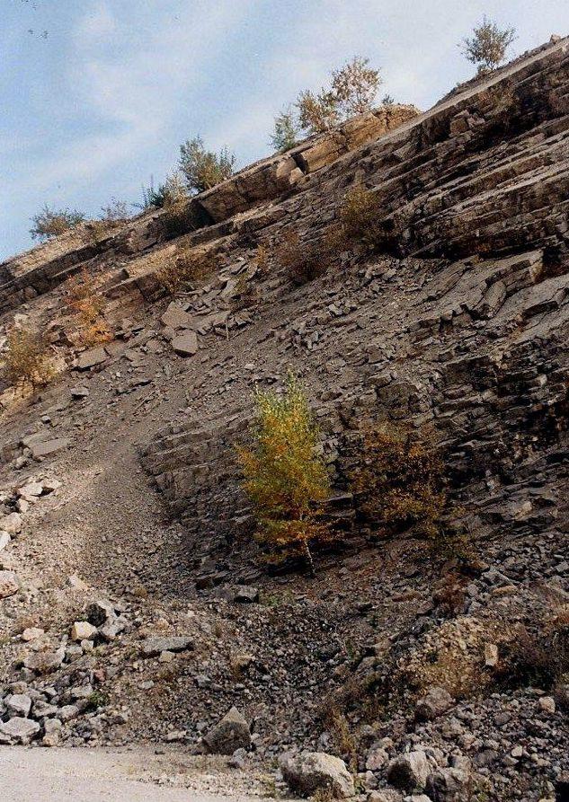 Hvížďalka Zářez účelové komunikace v délce asi 200 metrů na západ od provozních budov v lomu Hvížďalka a část svahu jižně od tohoto zářezu. Od stanice metra Luka jedeme autobusem č. 255.
