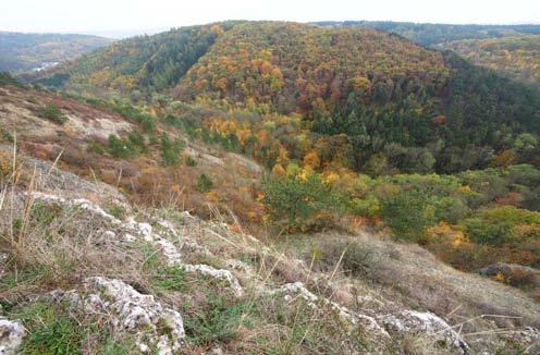 Klapice Ostroh hluboce zaříznutého údolí Šachetského potoka jižně od obce Kosoř s členitou morfologií a prudkými svahy s výškovým rozdílem 90 m s rozdílnou orientací vůči světovým stranám.