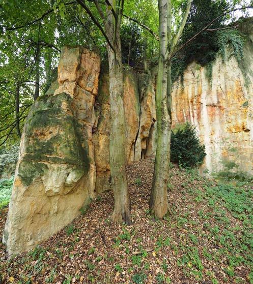 Střešovické skály Severně orientované skalní defilé mezi ulicemi Na Petřinách a U VI. Baterie. Ze stanice metra trasy A Petřiny se vydáme např. tramvají č. 1. Vystoupíme na zastávce Baterie.