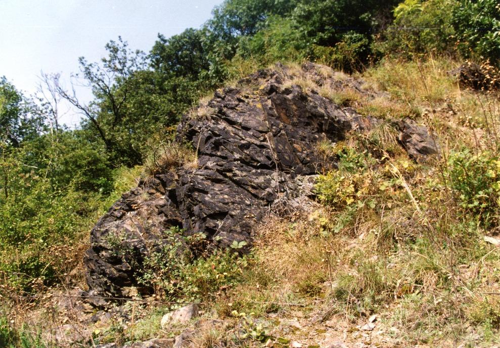 Vizerka Strmé levé úbočí zaklesnutého meandru Šáreckého potoka, jižně od zástavby Nebušic.