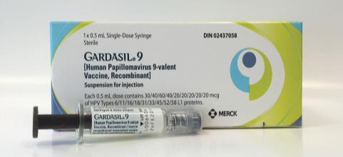 HPV vakcíny Gardasil/Silgard (2006) - HPV