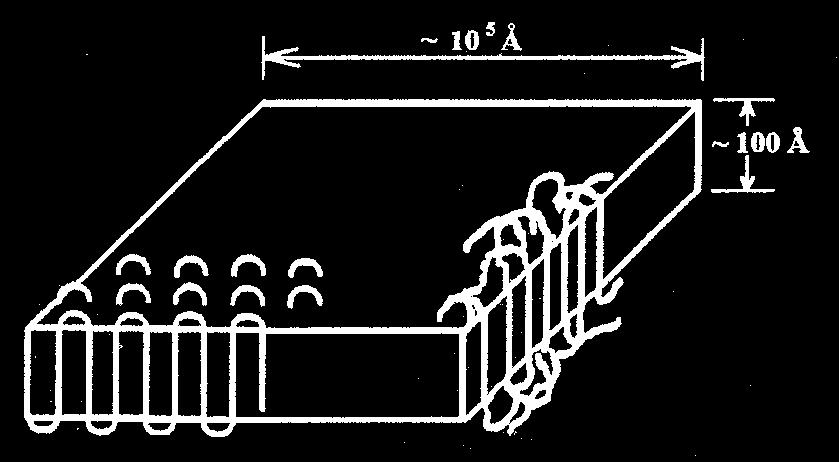 Monokrystal polymeru