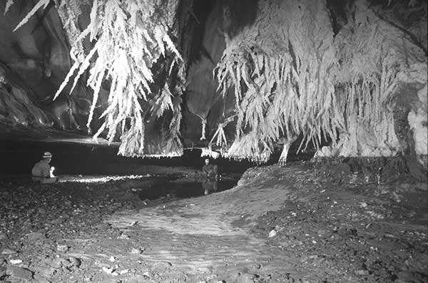 Krasová geomorfologie kras = soubor osobitých tvar a jev rozložených v krajin ve 2 úrovních - na povrchu - v podzemí termín kras - vyvinul se z výrazu karra (nebo karr), tj.