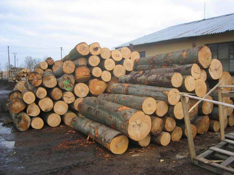 3. 1. DŘEVĚNÉ POLOTOVARY Dřevo z lesní výroby rozlišení podle upotřebení dřevo užitkové