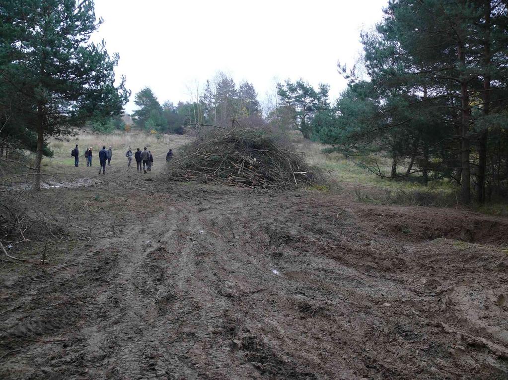 Podpora úkrytů a zimování - hromady všeho možného (hlavně přírodní hmota) - při managementech nepálit a