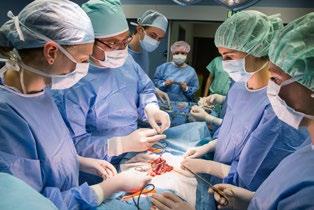 chirurgie (4. 22. 7. 2016) MUDr.