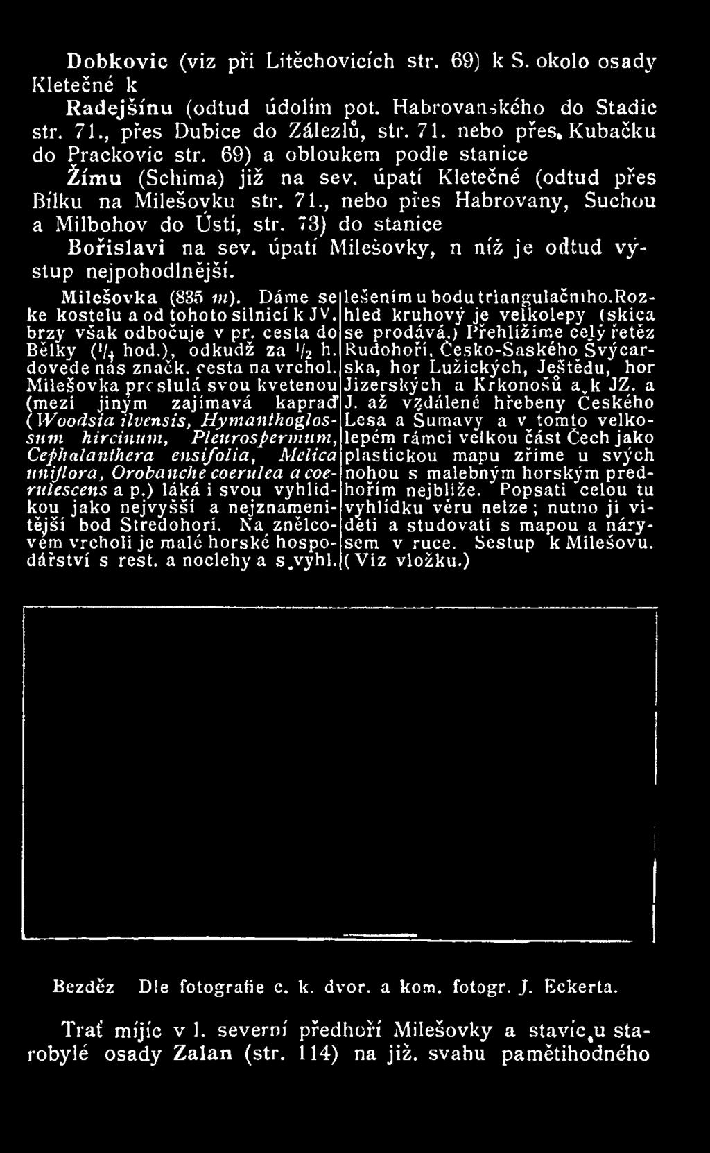 Milešovka prcslulá svou kvetenou (mezi jiným zajímavá kapraď ( W oodsia ilvensis, Hymanthoglossnm hircinnm, Plenrosperm um, Cephalanthera ensifolia, Melica ttniflora, Orobanche coerulea acoerulescens